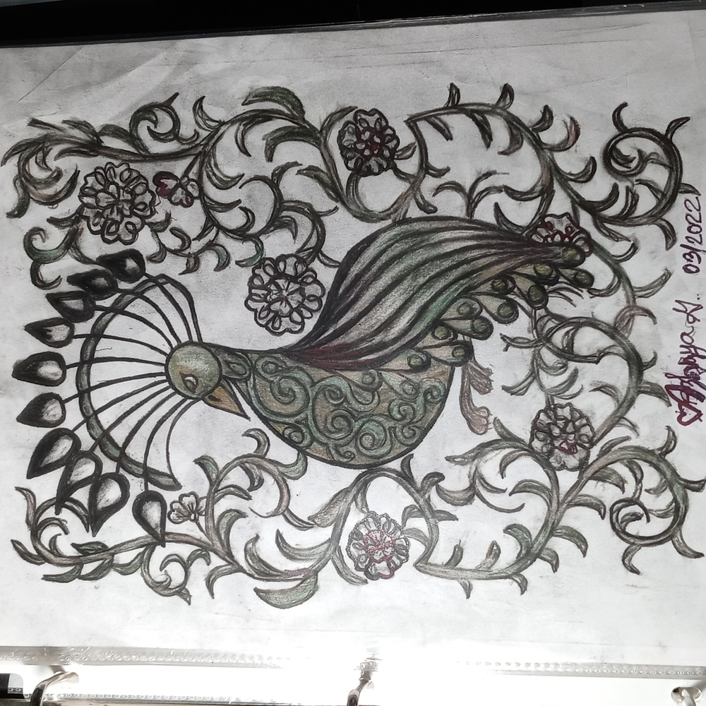 Peacock Drawing